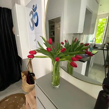 Apartment Nad Ins